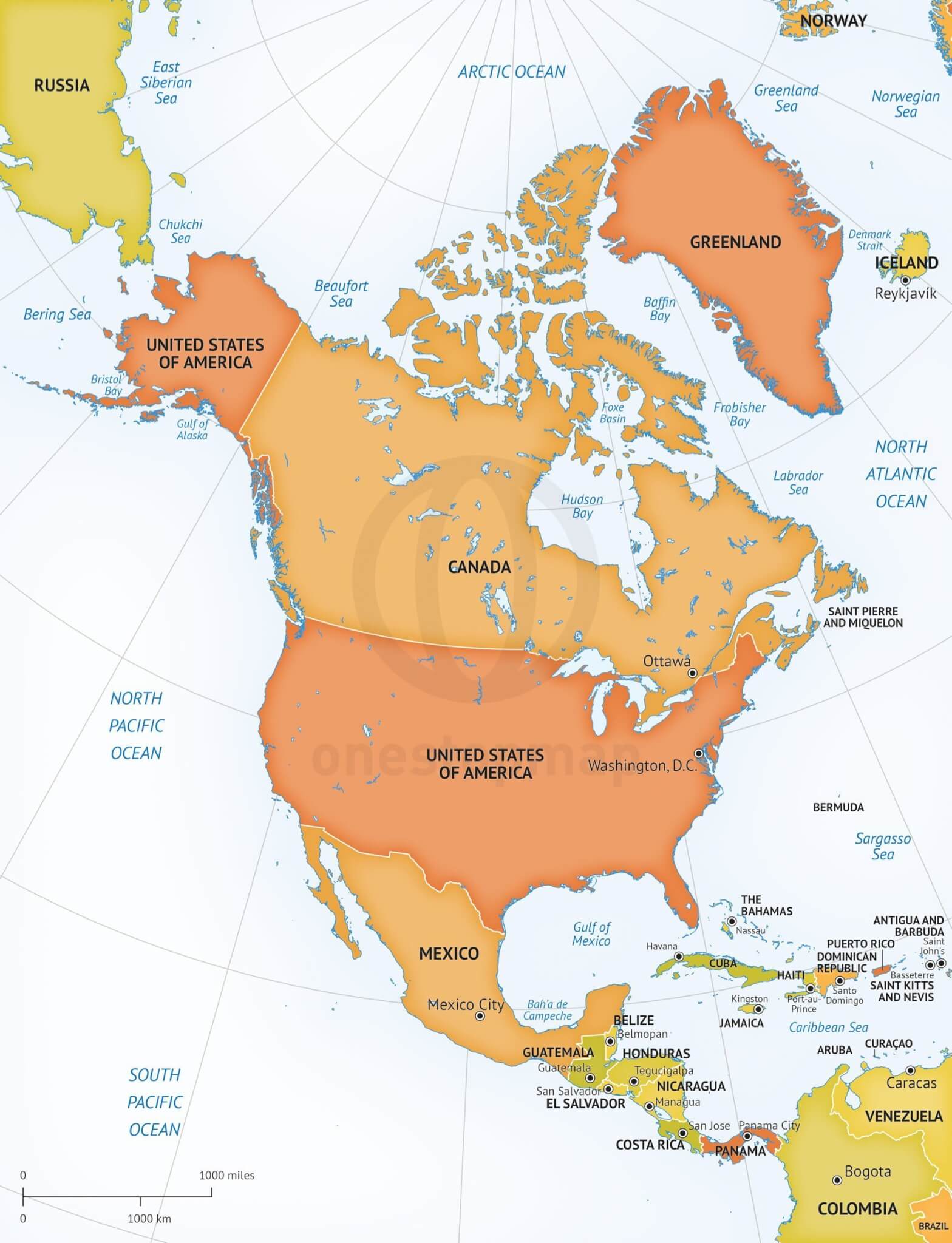 vector map of north america continent one stop map