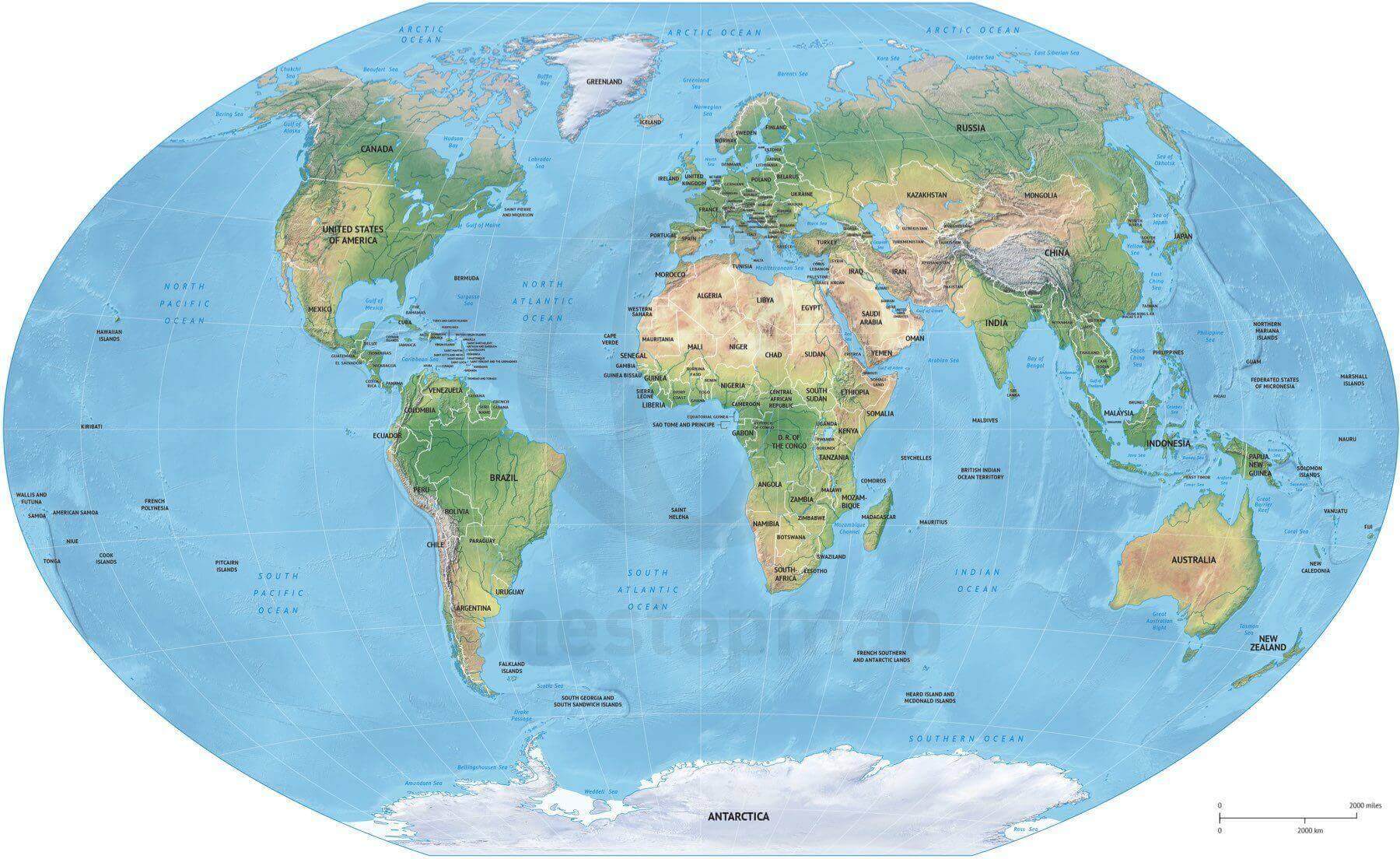 Vector Map World Relief Winkel Tripel Europe | One Stop Map